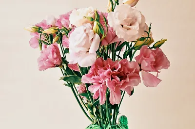 6 книг по психологии и самопомощи