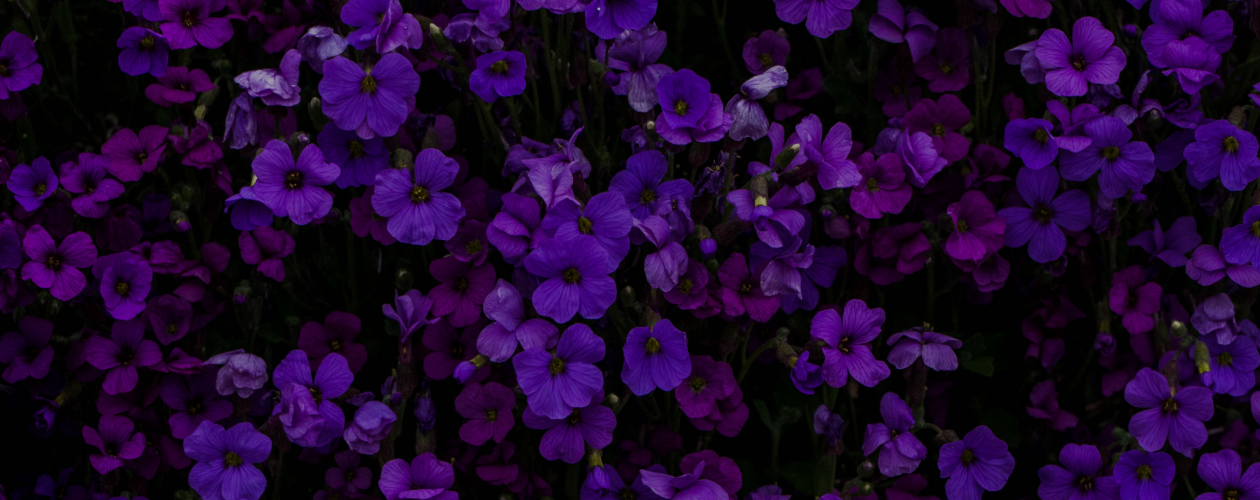 О чём книги Янины Логвин: любовь и прочие неприятности