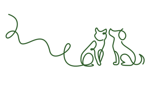 Встреча с Художницей Shátukawa