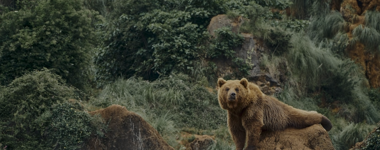 Жестокие игры и протестная Куба: 7 книг про выживание