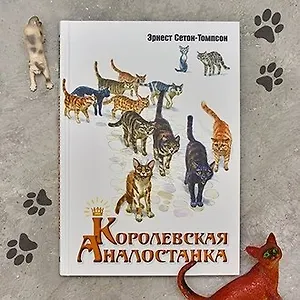 «Королевская Аналостанка»: иллюстрации