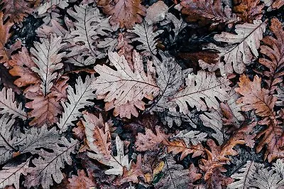 5 книг с осенней атмосферой