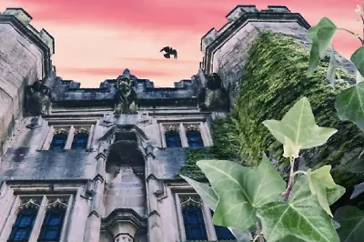 Мрачное поместье и элитная школа: 6 книг о местах, хранящих тайну