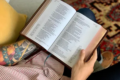 В каком порядке читать Bromance: гид по циклу Лиссы Кей Адамс