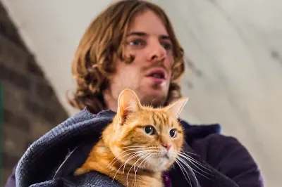 Без кота и жизнь не та: 10 книг с хвостатыми героями