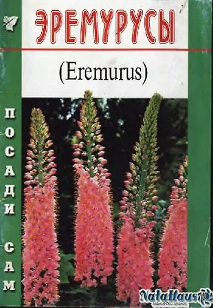 Эремурусы (Посади сам) (м) (1660841) купить по низкой цене в интернет ...