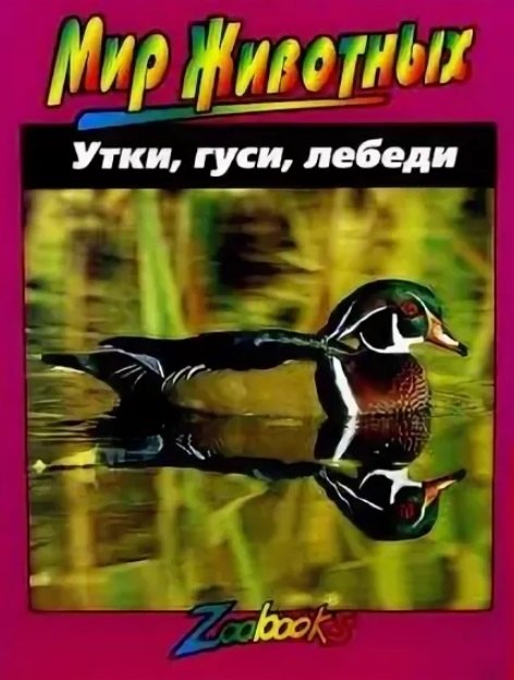 

Мир животных: Утки, гуси, лебеди