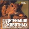 

Детеныши животных: Самые лучшие фотографии. Альбом