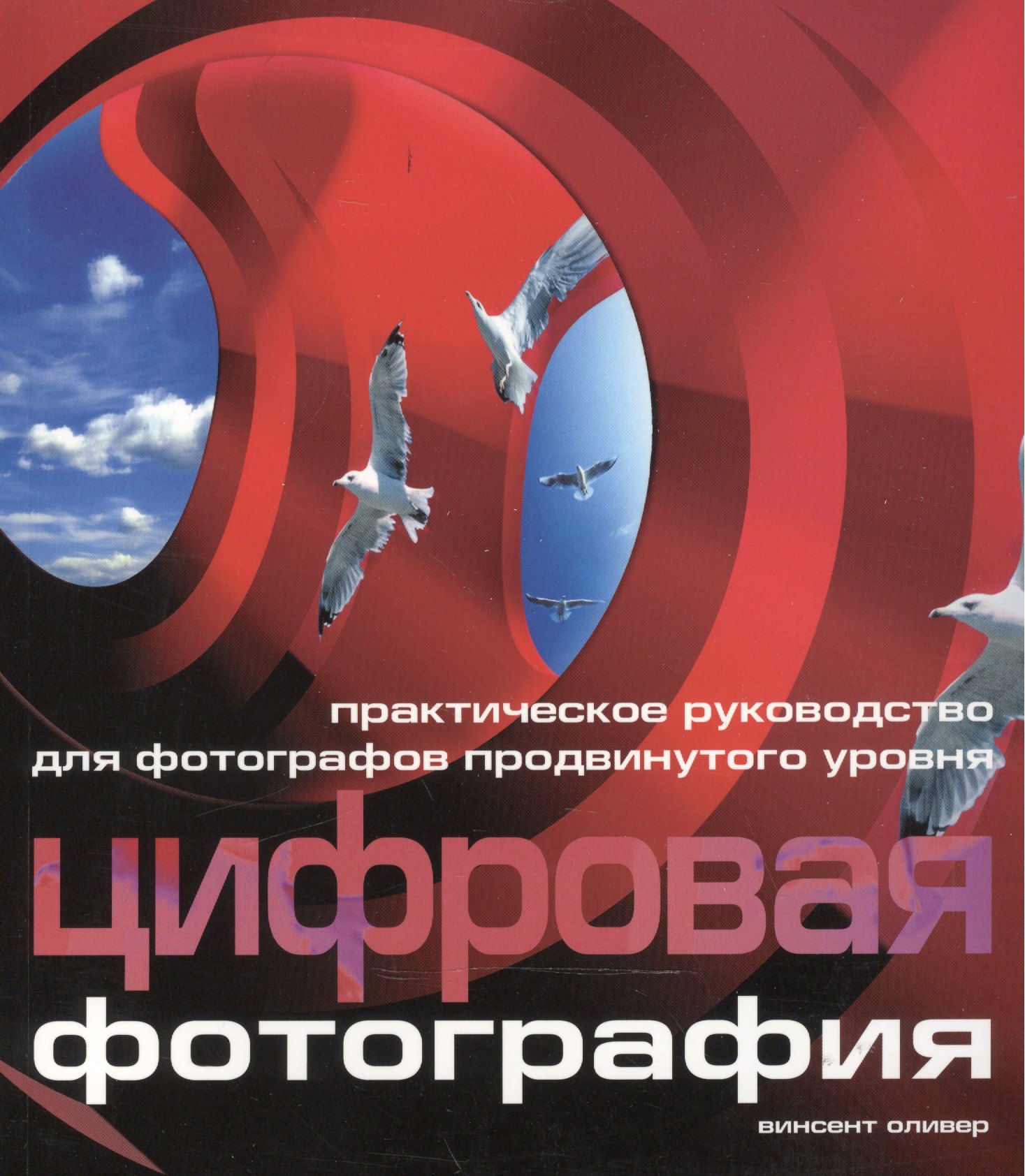 

Цифровая фотография: Практическое руководство для фотографов продвинутого уровня