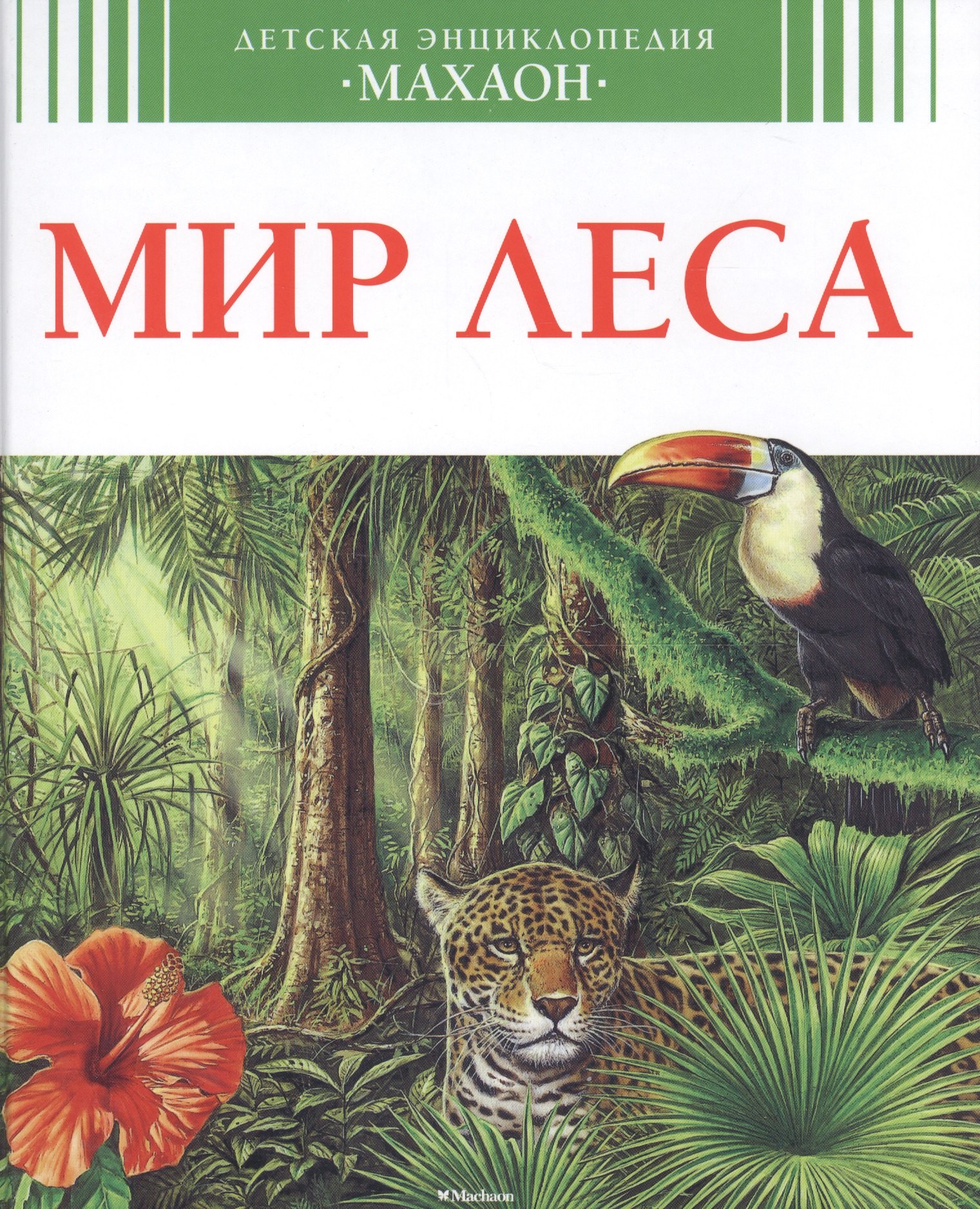 

Мир леса