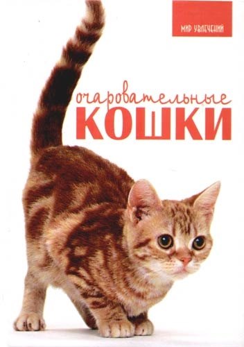 

Очаровательные кошки