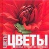 

Цветы.Самые лучшие фотографии: Альбом