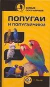 

Самые популярные попугаи и попугайчики