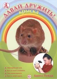 

Крыска