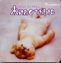 

Мои первые животные