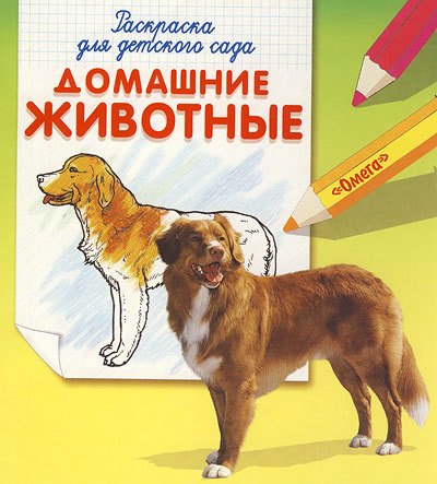 

Раскраска для детского сада. Домашние животные