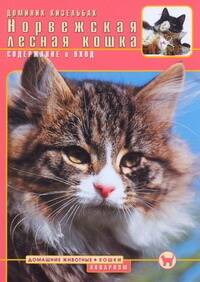 Кизельбах Доминик - Аквар.Норвежская лесная кошка