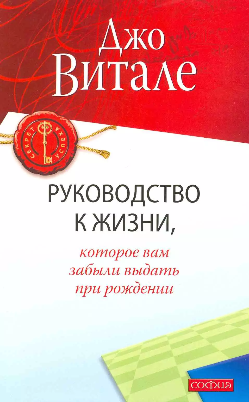 Витале Джо Руководство к жизни, которое вам забыли выдать при рождении