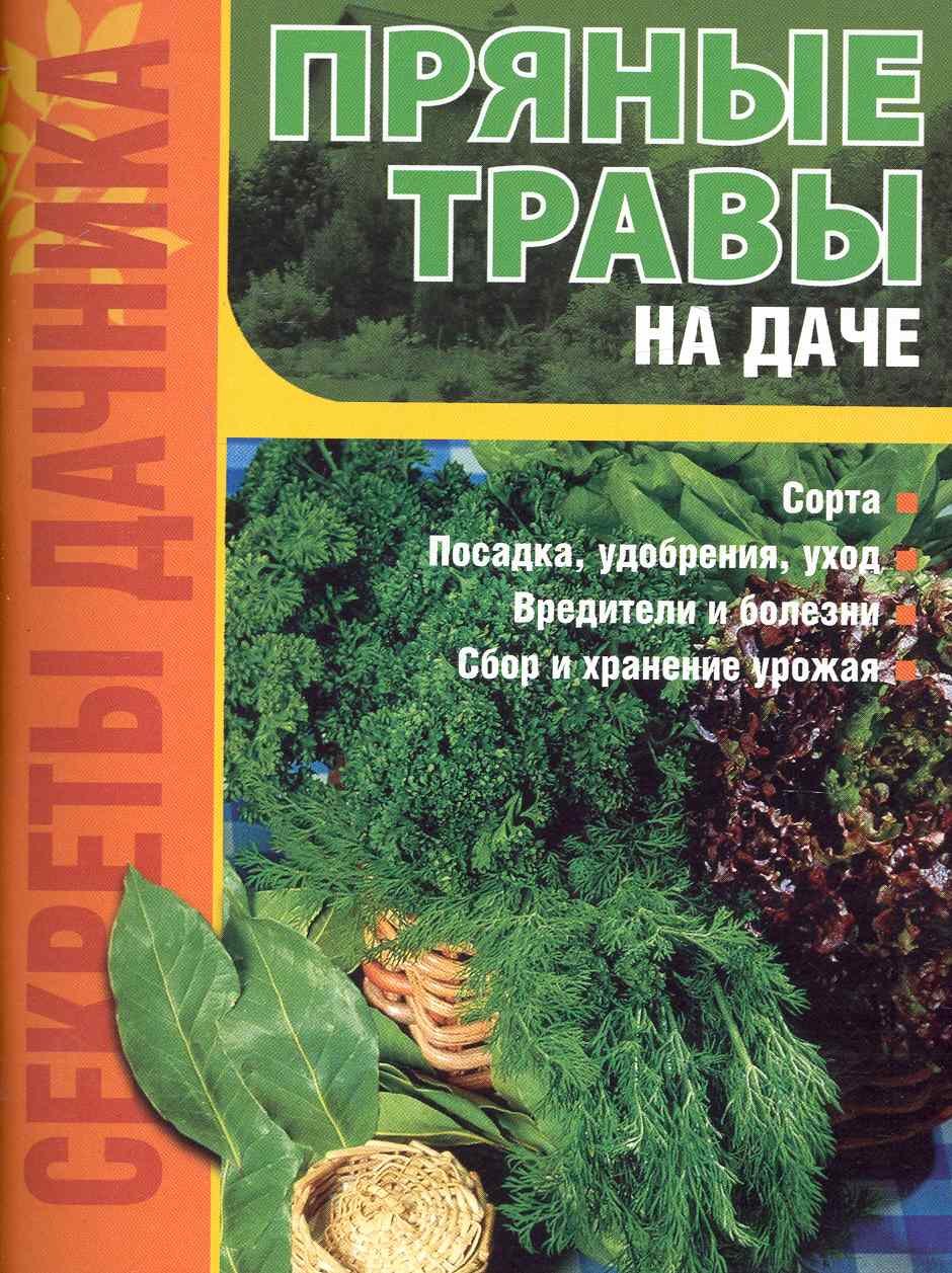 

Пряные травы на даче