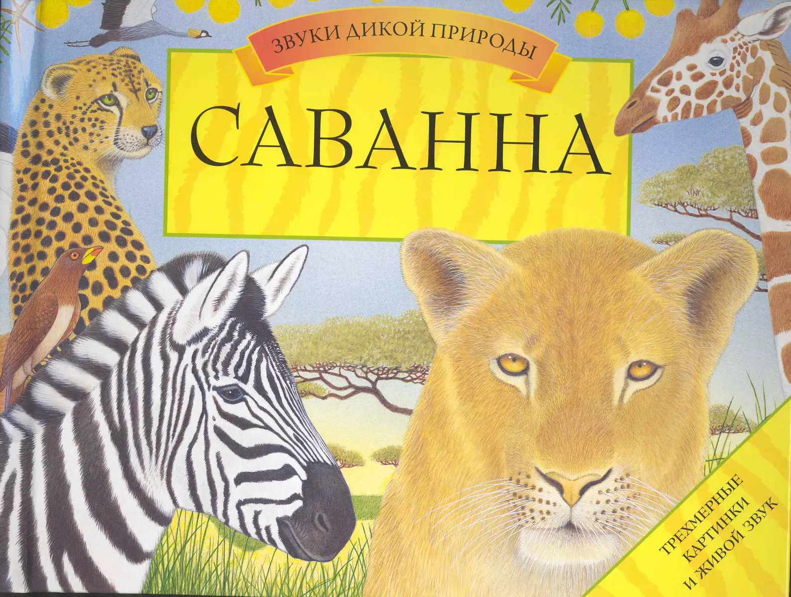 Саванна. Книга-панорама (Вэл Дейвис) - купить книгу с доставкой в  интернет-магазине «Читай-город». ISBN: 978-5-38-900713-0