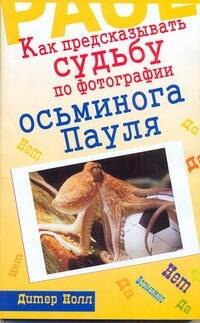 

Как предсказывать судьбу по фотографии осьминога Пауля