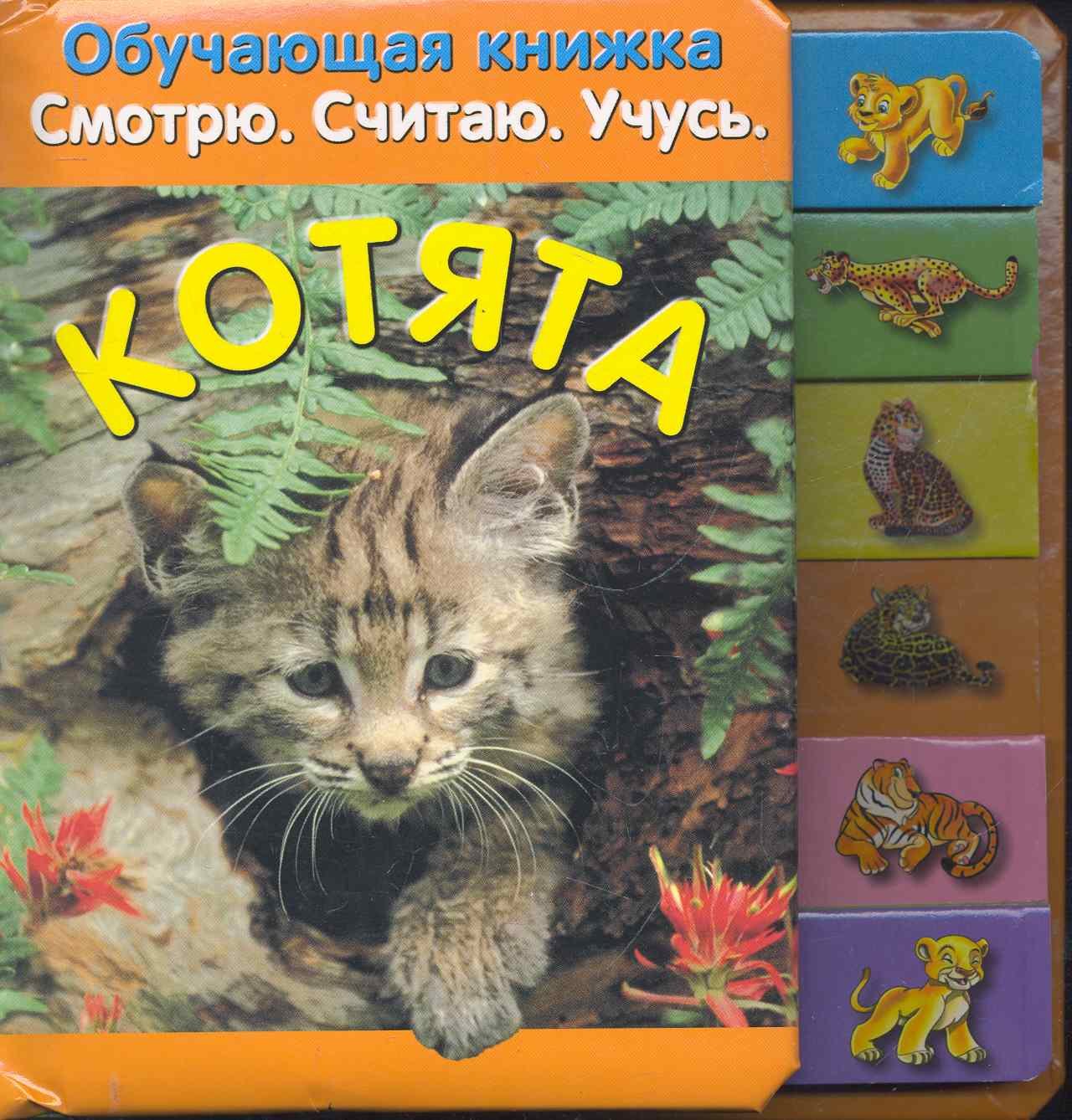 

Обучающая книжка.Смотрю.Считаю.Учусь.Котята