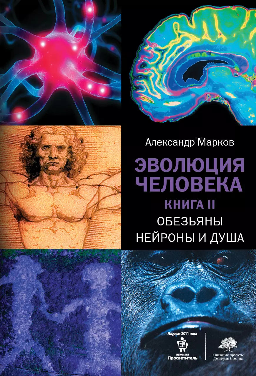 Эволюция человека. Книга II.Обезьяны, нейроны и душа марков александр владимирович эволюция человека книга iii кости гены и культура