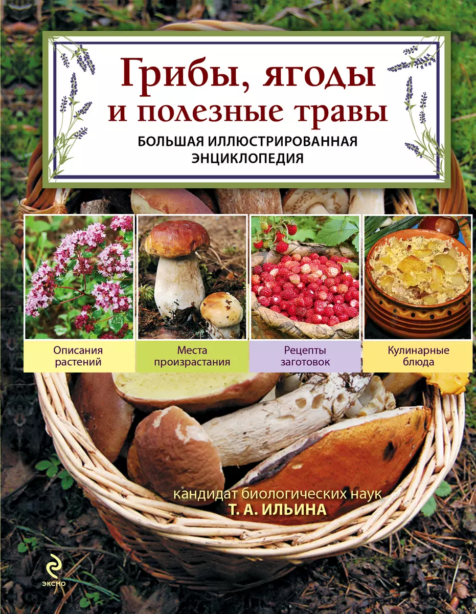 Грибы.Грибы,ягоды и полезные травы (Дэвид Аакер) - купить книгу с доставкой  в интернет-магазине «Читай-город». ISBN: 978-5-69-955915-2