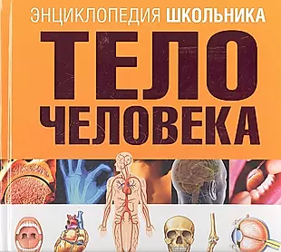 Энциклопедия школьника. Тело человека — 2317826 — 1