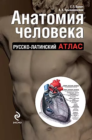 Анатомия человека: русско-латинский атлас — 2327557 — 1