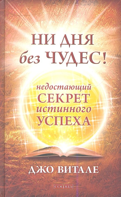 

Ни дня без чудес! Недостающий секрет истинного успеха: Простые советы инструктора по чудесам