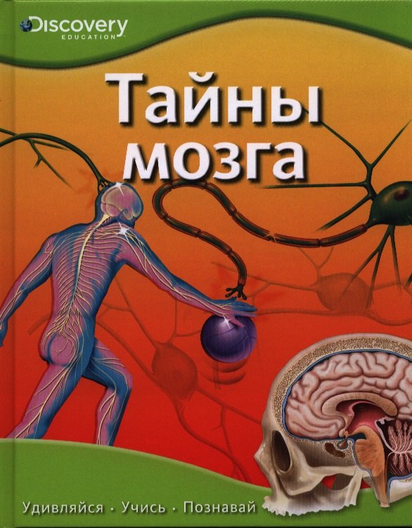 

Тайны мозга