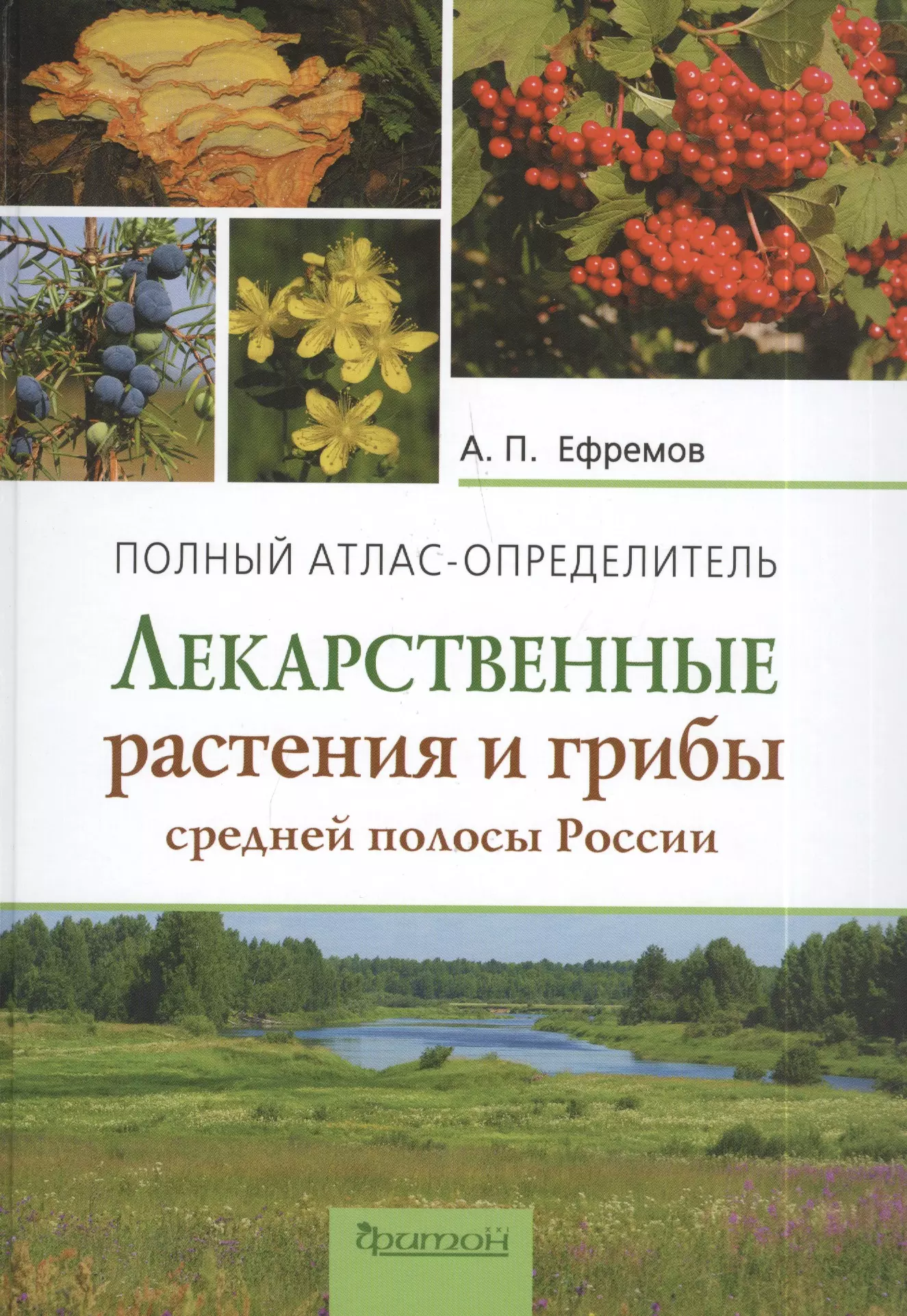 Ефремов Александр Павлович Лекарственные растения и грибы средней полосы России