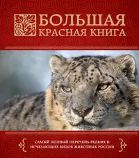 Книги про дикую природу. Большая красная книга Скалдина. Красная книга. Животные мира Оксана Скалдина Евгений Слиж книга. Красная книга Оксана Скалдина. Красный.