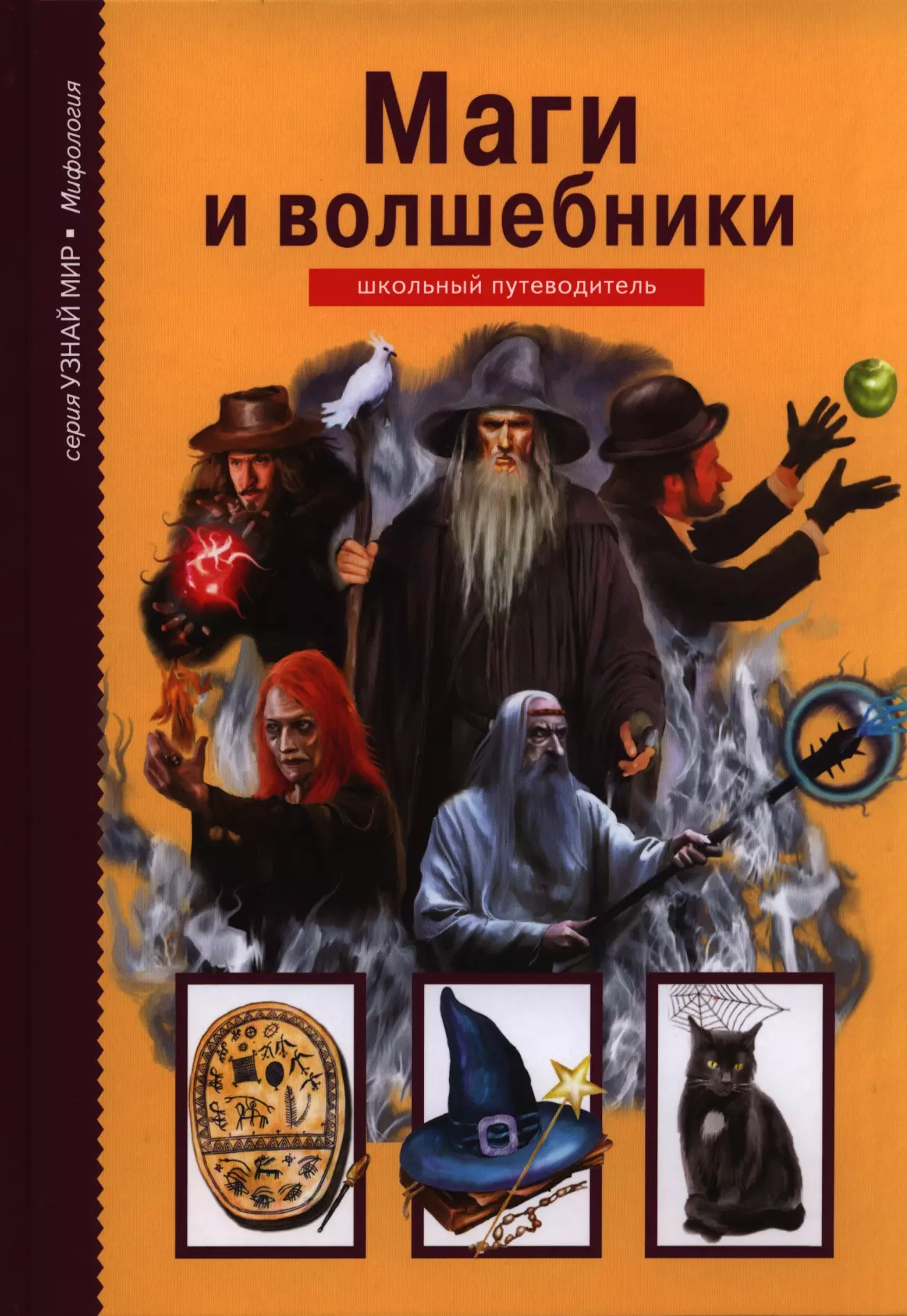 Книги маг миры. Дунаева ю. "маги и Волшебники". Маги и Волшебники школьный путеводитель. Книги про волшебников и магов. Детские книги про волшебников и магов.