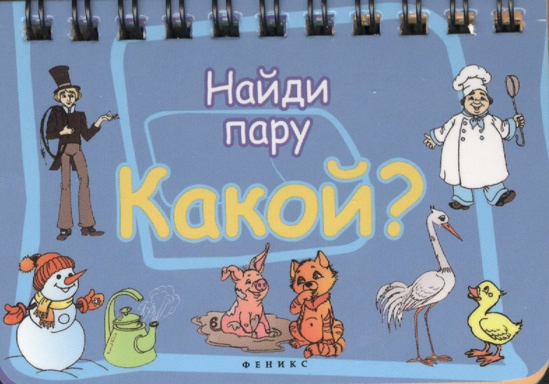 

Какой: найди пару