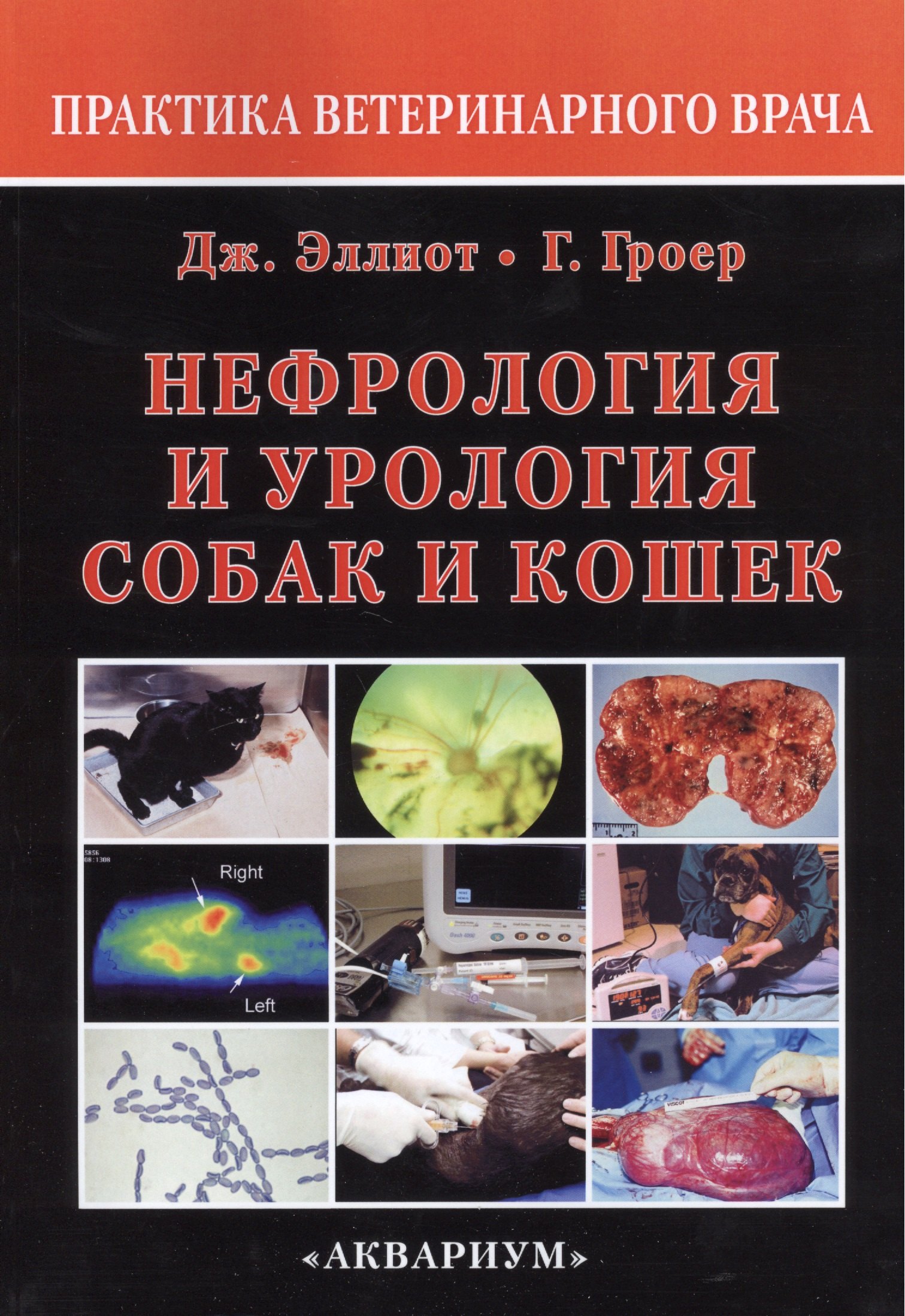 

Нефрология и урология собак и кошек