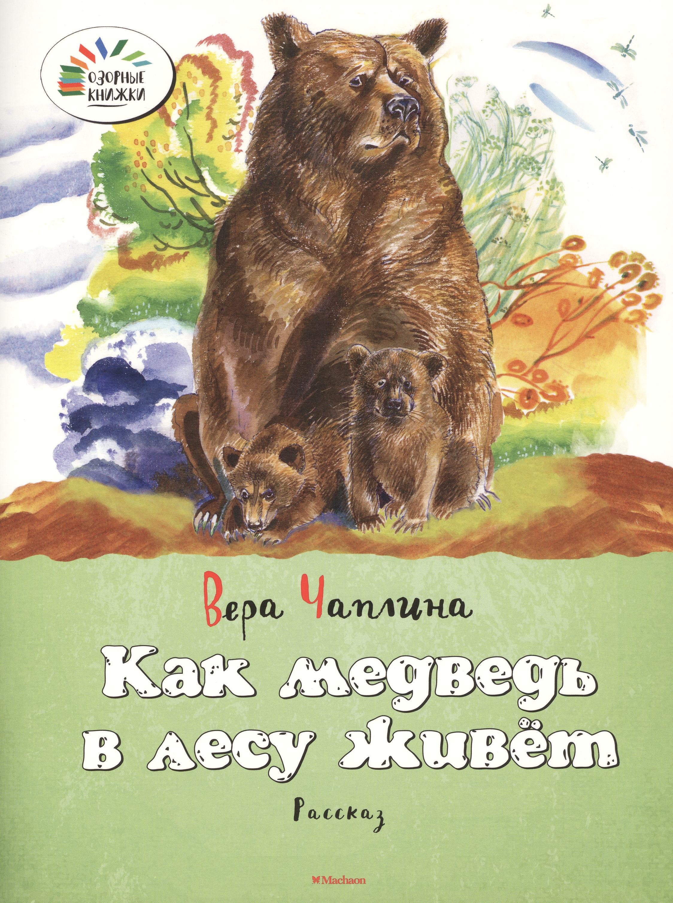 

Как медведь в лесу живёт