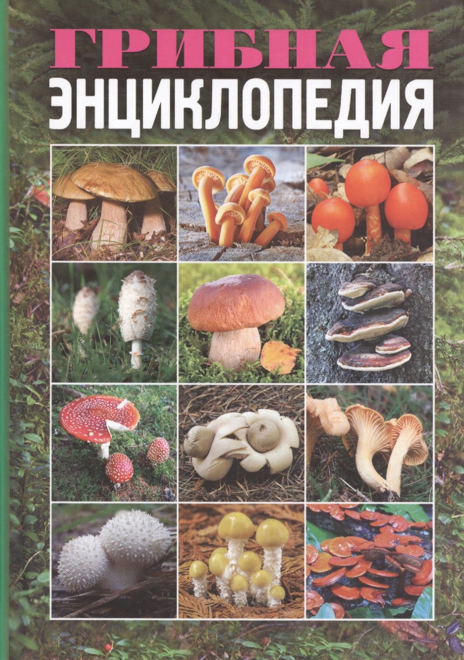 

Грибная энциклопедия