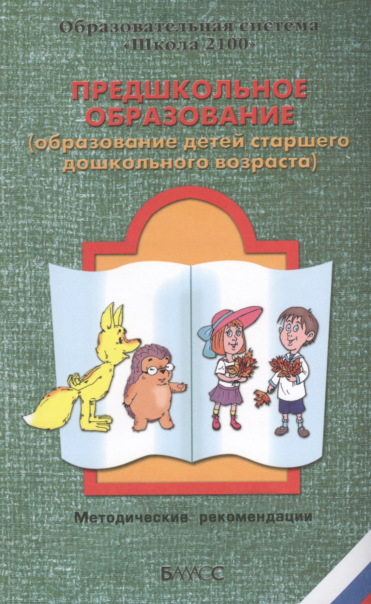 

Предшкольное образование (образование детей старшего дошкольного возраста)