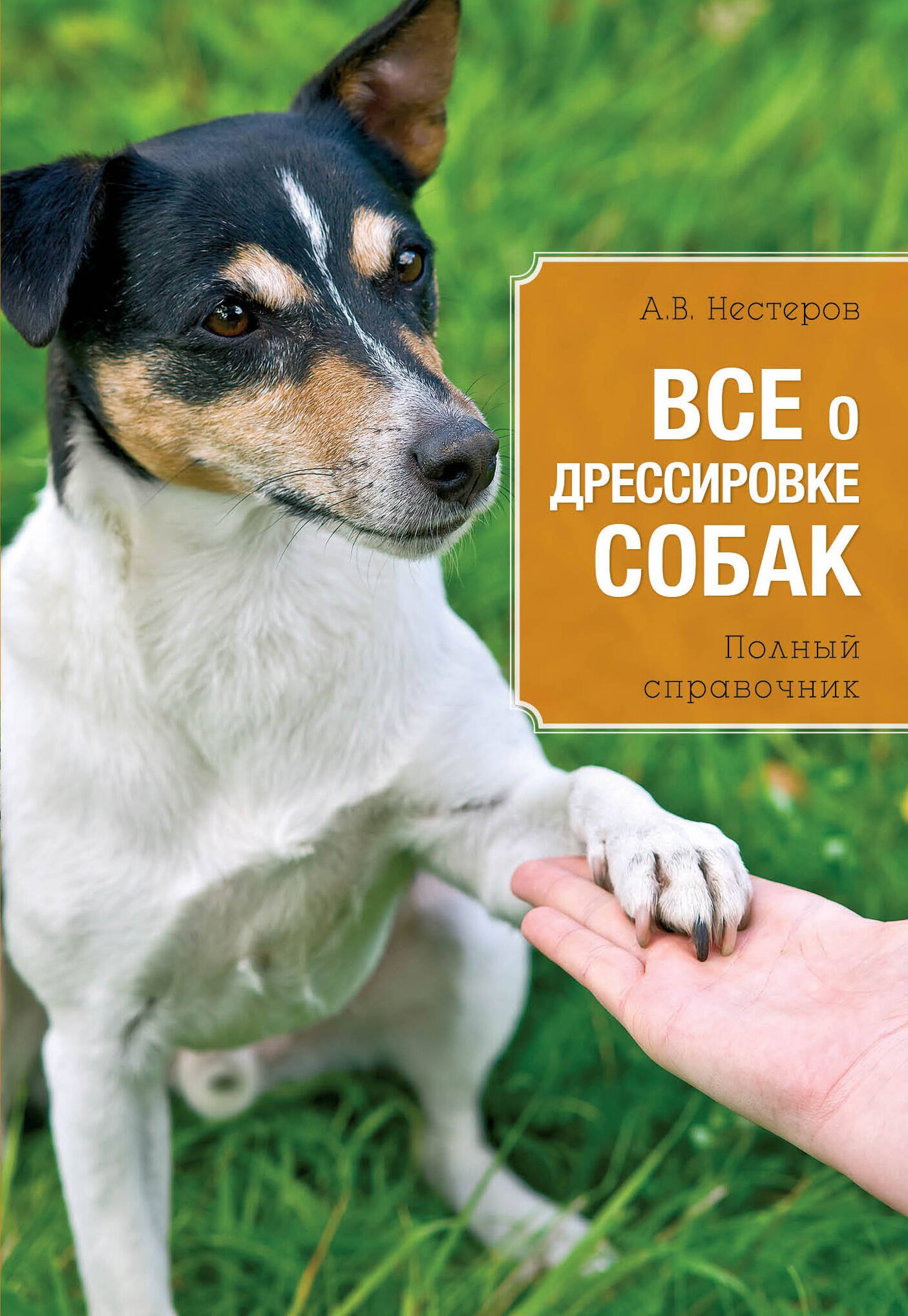 

Все о дрессировке собак