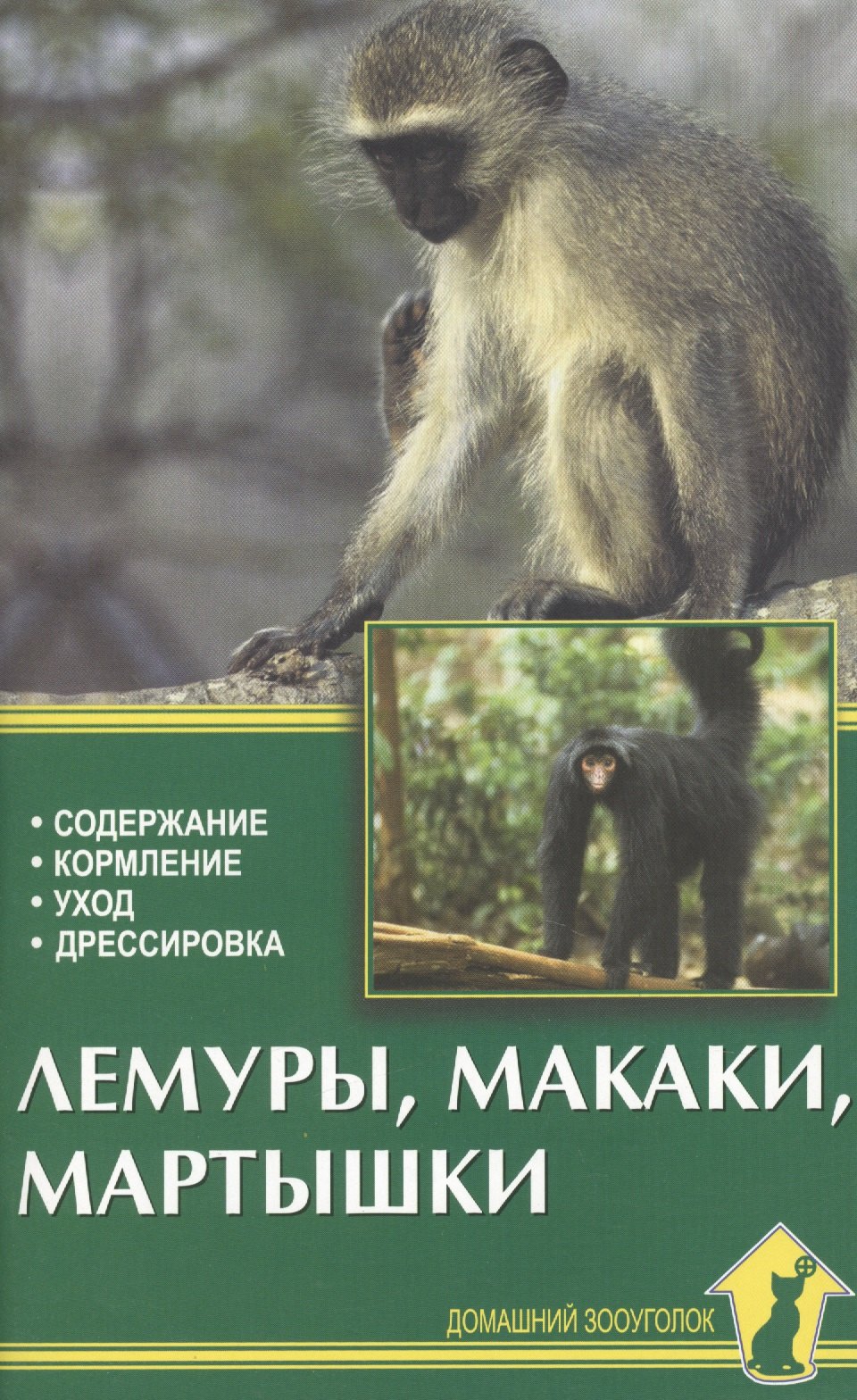 Краткий пересказ обезьяна. Лемур с книгой. Содержание обезьянки. Политика ц шимпанзе оглавление. Домашняя мартышка цена.