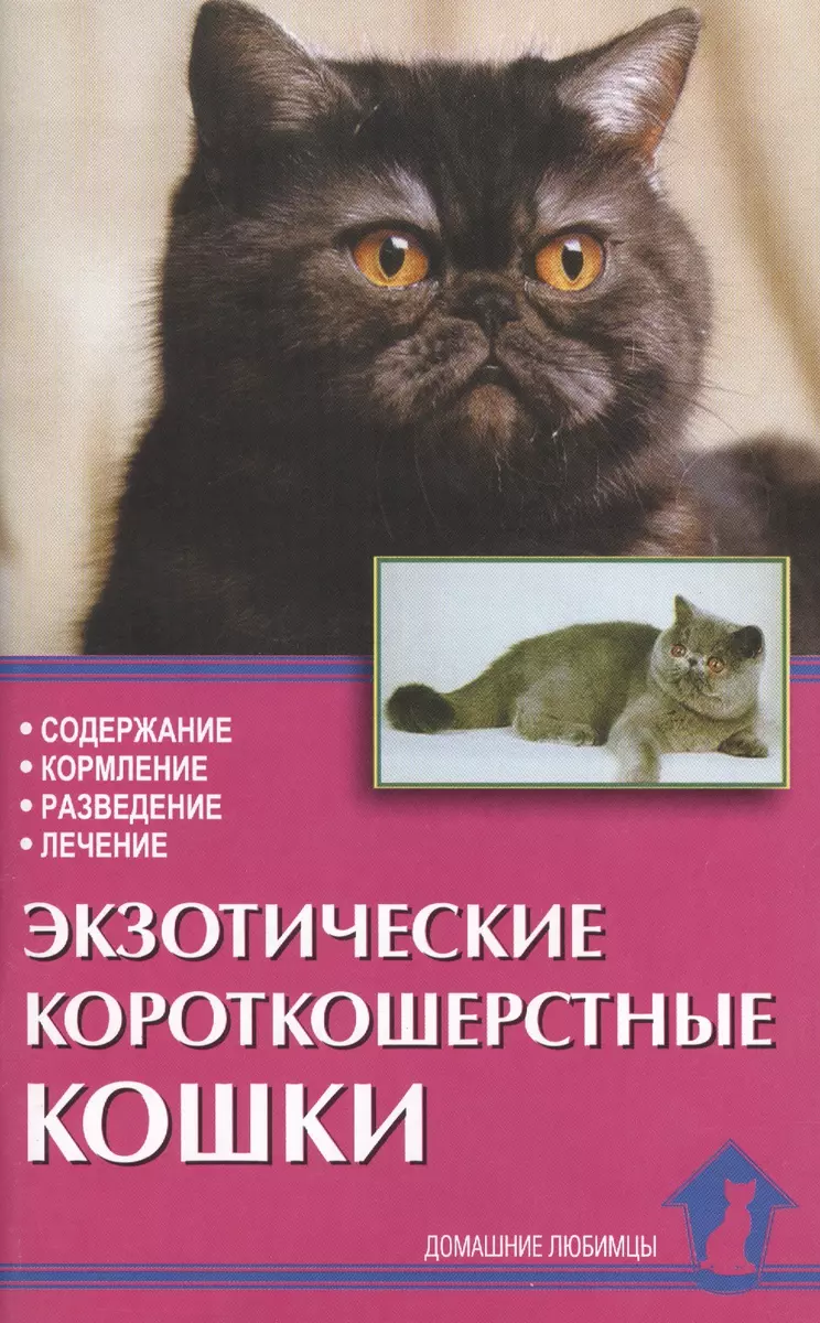 Экзотические короткошерстные кошки. Содержание. Кормление. Разведение.  Лечение (Вадим Зорин, Надежда Зубкова) - купить книгу с доставкой в  интернет-магазине «Читай-город». ISBN: 978-5-98-435946-7