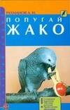 

Попугай жако: содержание, кормление, обучение разговору, профилактика заболеваний