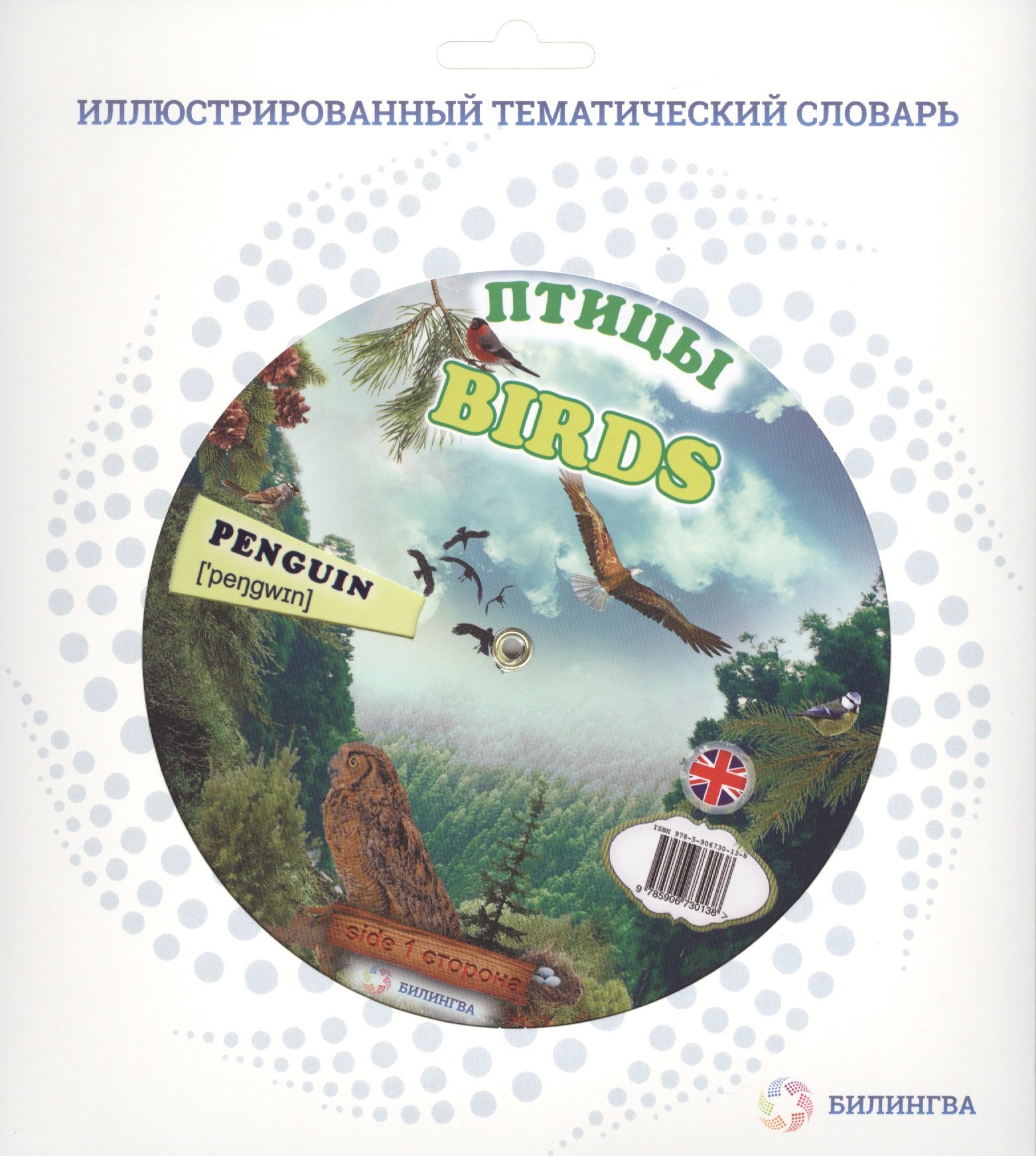 

Тематический словарь BIRDS (Птицы).