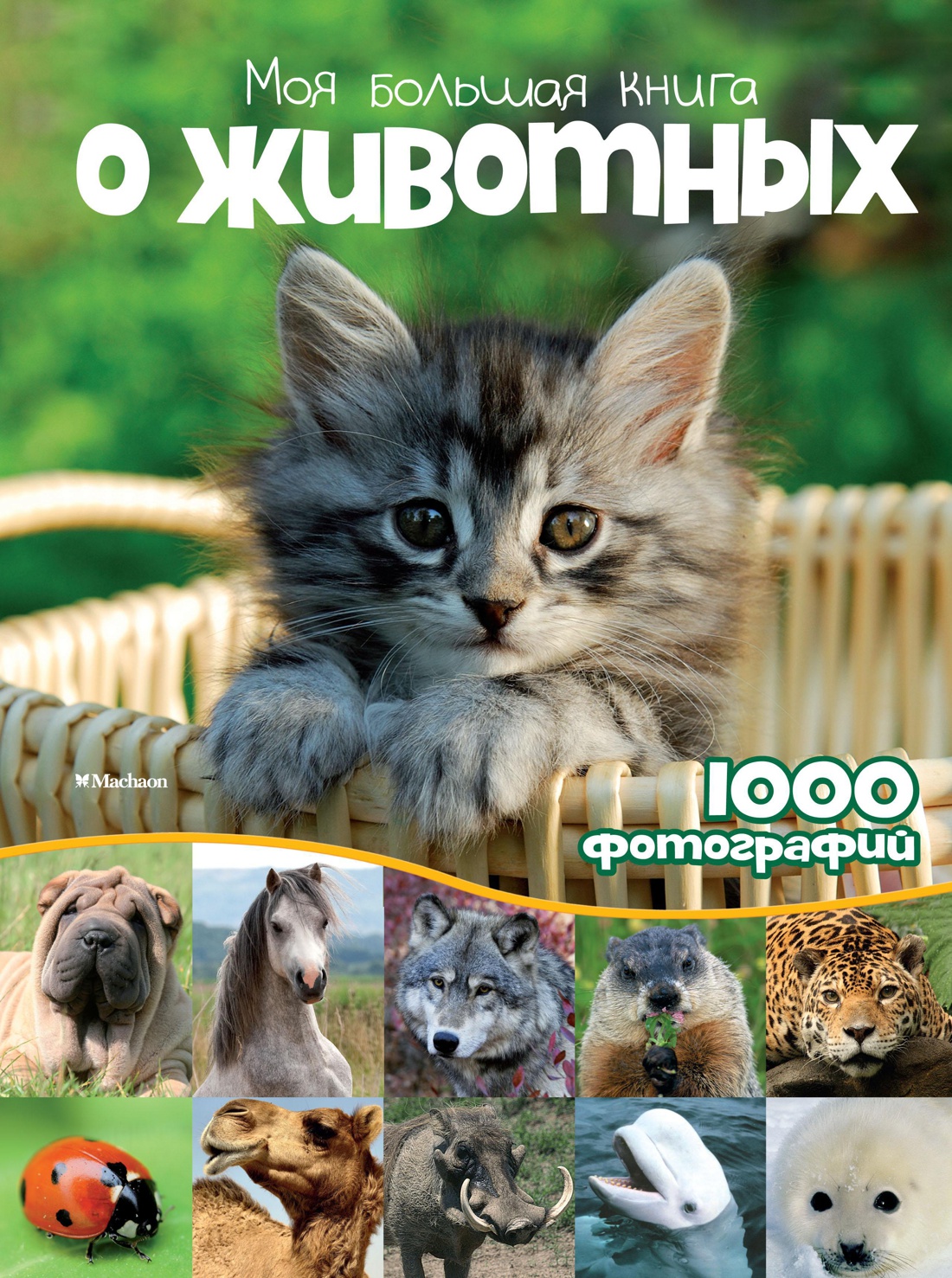 Бологова Валентина - Моя большая книга о животных. 1000 фотографий