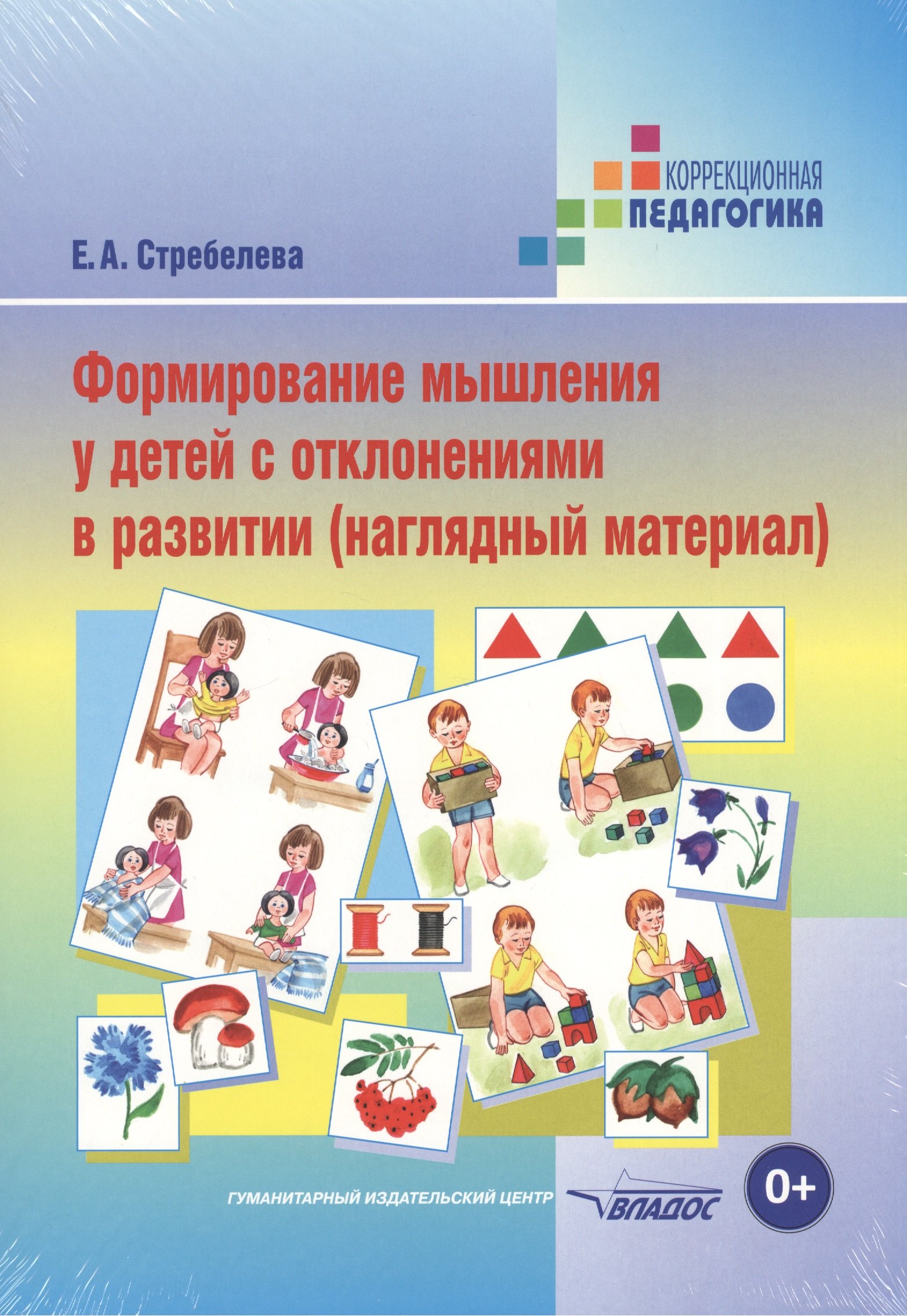 

Формирование мышления у детей с отклонениями в развитии (наглядный материал). Папка
