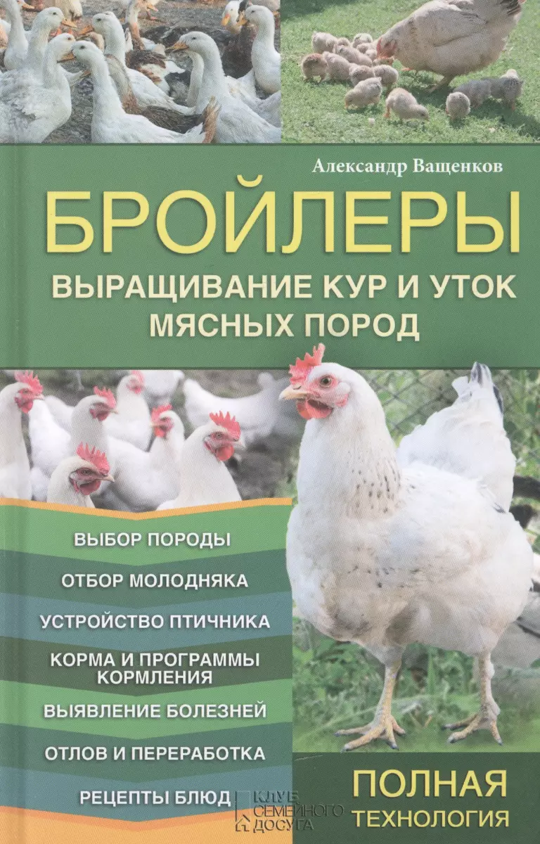 Бройлеры. Выращивание кур и уток мясных пород - купить книгу с доставкой в  интернет-магазине «Читай-город». ISBN: 978-5-99-103077-9