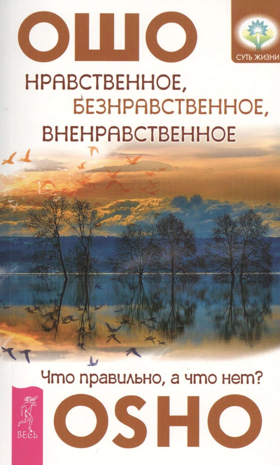

Нравственное, безнравственное, вненравственное: что правильно, а что нет