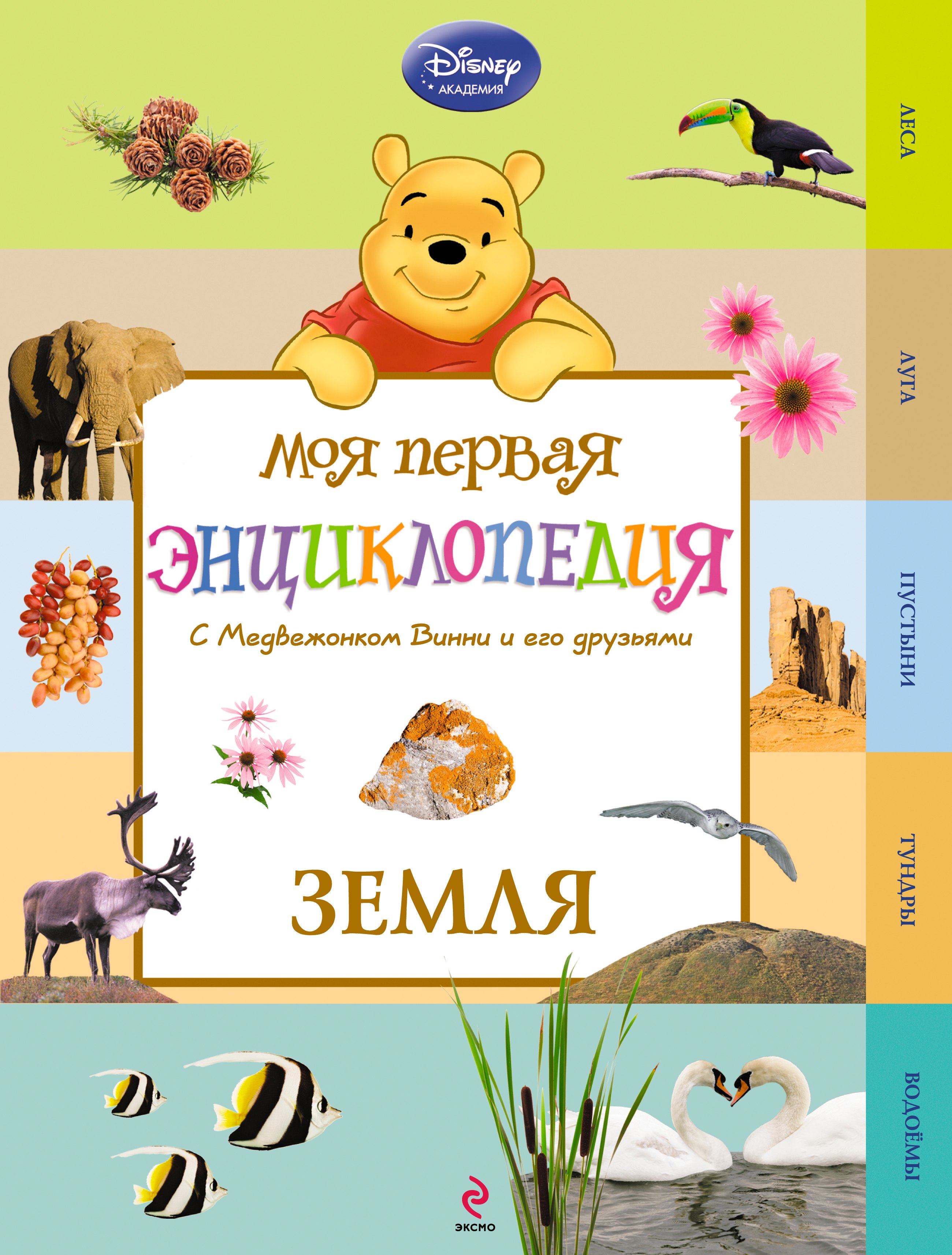 

Земля (Winnie the Pooh)